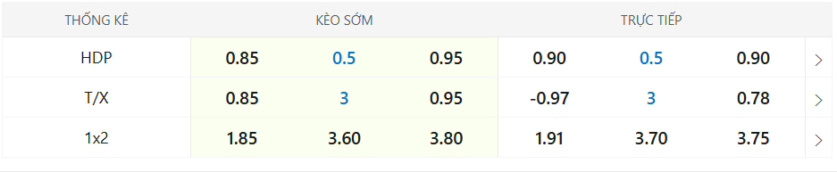 Soi kèo Paderborn vs Bochum