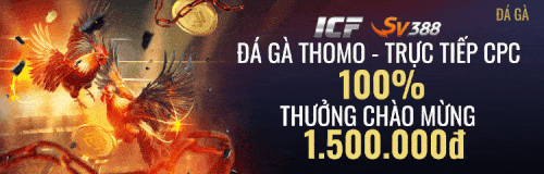 tiền thưởng đá gà tại Vegas79